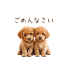 トイプー兄弟、今日も元気！（個別スタンプ：9）