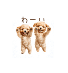 トイプー兄弟、今日も元気！（個別スタンプ：14）