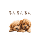 トイプー兄弟、今日も元気！（個別スタンプ：16）