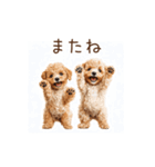 トイプー兄弟、今日も元気！（個別スタンプ：24）