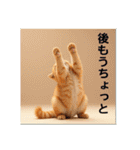 ペットの可愛いマンチカン（個別スタンプ：7）