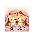 ペットの可愛いマンチカン（個別スタンプ：19）