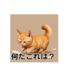 ペットの可愛いマンチカン（個別スタンプ：34）