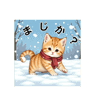 ペットの可愛いマンチカン（個別スタンプ：36）