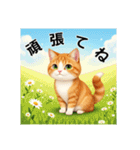 ペットの可愛いマンチカン（個別スタンプ：37）