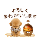 大人かわいい秋の癒しプードル（個別スタンプ：10）
