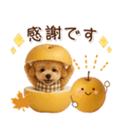 大人かわいい秋の癒しプードル（個別スタンプ：11）