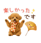 大人かわいい秋の癒しプードル（個別スタンプ：22）