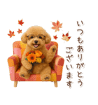 大人かわいい秋の癒しプードル（個別スタンプ：24）