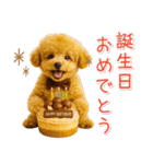 大人かわいい秋の癒しプードル（個別スタンプ：37）