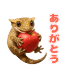クレステッドゲッコーの天真爛漫（個別スタンプ：5）