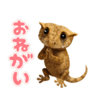 クレステッドゲッコーの天真爛漫（個別スタンプ：12）