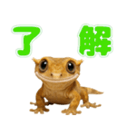クレステッドゲッコーの天真爛漫（個別スタンプ：13）