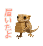 クレステッドゲッコーの天真爛漫（個別スタンプ：17）