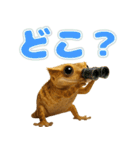 クレステッドゲッコーの天真爛漫（個別スタンプ：19）