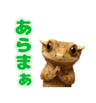 クレステッドゲッコーの天真爛漫（個別スタンプ：24）