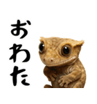 クレステッドゲッコーの天真爛漫（個別スタンプ：31）