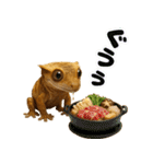 クレステッドゲッコーの天真爛漫（個別スタンプ：33）
