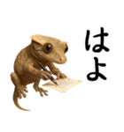 クレステッドゲッコーの天真爛漫（個別スタンプ：35）