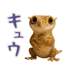 クレステッドゲッコーの天真爛漫（個別スタンプ：36）