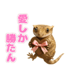 クレステッドゲッコーの天真爛漫（個別スタンプ：40）