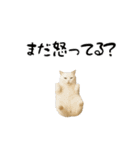 強猫と弱猫（個別スタンプ：18）