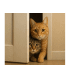 強猫と弱猫（個別スタンプ：22）