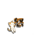 三毛猫文字（個別スタンプ：28）