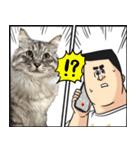 猫が地獄のミサワとコラボ（個別スタンプ：5）