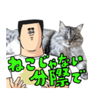 猫が地獄のミサワとコラボ（個別スタンプ：6）