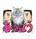 猫が地獄のミサワとコラボ（個別スタンプ：8）