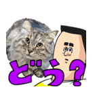 猫が地獄のミサワとコラボ（個別スタンプ：18）