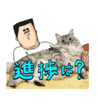 猫が地獄のミサワとコラボ（個別スタンプ：19）