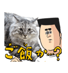 猫が地獄のミサワとコラボ（個別スタンプ：23）