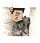 猫が地獄のミサワとコラボ（個別スタンプ：32）