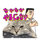 猫が地獄のミサワとコラボ（個別スタンプ：34）