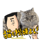 猫が地獄のミサワとコラボ（個別スタンプ：35）