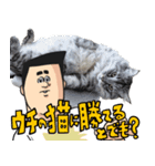 猫が地獄のミサワとコラボ（個別スタンプ：36）