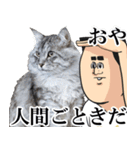 猫が地獄のミサワとコラボ（個別スタンプ：37）