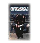 猫茶〜美人黒猫愛嬌たっぷり♡〜 -BIG-（個別スタンプ：12）