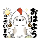 飛び出すシーズー犬 「よく使う言葉」7（個別スタンプ：1）