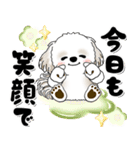 飛び出すシーズー犬 「よく使う言葉」7（個別スタンプ：2）