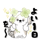 飛び出すシーズー犬 「よく使う言葉」7（個別スタンプ：3）
