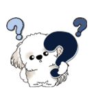 飛び出すシーズー犬 「よく使う言葉」7（個別スタンプ：6）