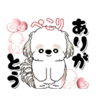 飛び出すシーズー犬 「よく使う言葉」7（個別スタンプ：9）