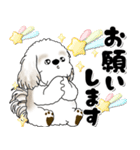 飛び出すシーズー犬 「よく使う言葉」7（個別スタンプ：13）