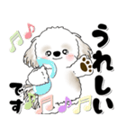 飛び出すシーズー犬 「よく使う言葉」7（個別スタンプ：15）