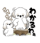 飛び出すシーズー犬 「よく使う言葉」7（個別スタンプ：18）