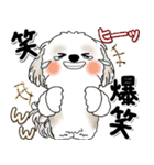 飛び出すシーズー犬 「よく使う言葉」7（個別スタンプ：20）