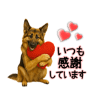 シェパード★毎日使う気遣いスタンプ♡（個別スタンプ：3）